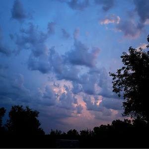 Meet your Posher, Josie